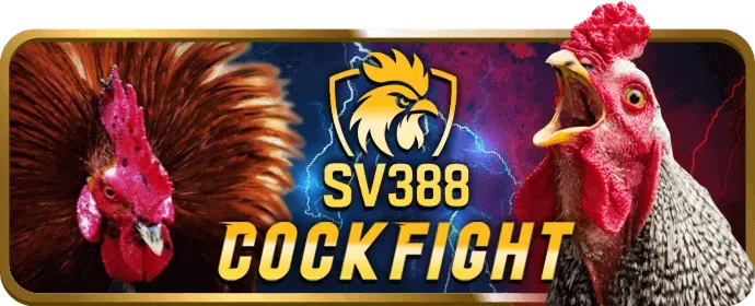 Ưu Đãi Độc Quyền